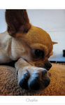 IMG_7624G