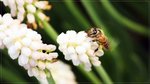 IMG_1765