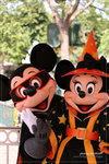 IMG_7208 copy