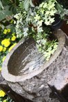 IMG_1324 copy
