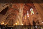 IMG_4514 copy