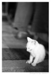 IMG_6h283
