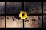 IMG_8220