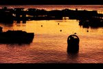 IMG_8541