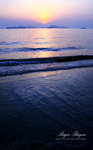 IMG_3301 copy