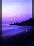 IMG_3405 copy