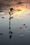 IMG_23401