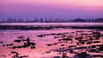 IMG_24971