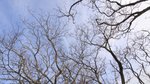 IMG_0717