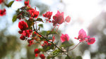 IMG_0682 copy