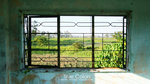 IMG_0714 copy