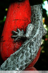 IMG_3338s