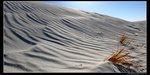 nEO_IMG_07N_0071