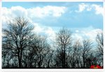 Clouds0382