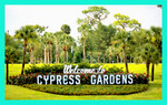 Cypress Garden006