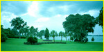 Cypress Garden039