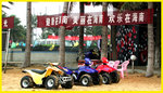 P1010011 copy