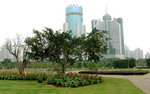 P1010020 copy