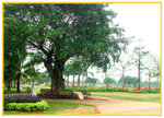 P1010021 copy