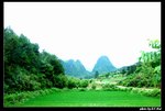 QuiLin (10)