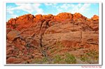 DSC_0203_A