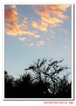 DSC_0267_A