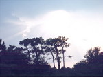 SunRise 3