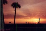 Sunset1