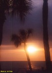 Sunset 13