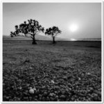 nEO_IMG_DSC_1686