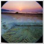nEO_IMG_DSC_1720a