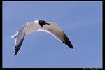 2006Sat097_DxO_raw