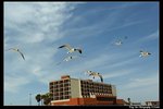 2006Sat098_DxO_raw