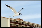 2006Sat101_DxO_raw