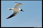 2006Sat128_DxO_raw