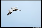 2006Sat144_DxO_raw