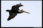 2006Sat145_DxO_raw