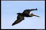 2006Sat146_DxO_raw