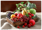 Fruit001