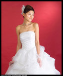 Cherry492V4253_20x24