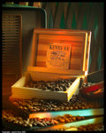 CoffeeBean01
