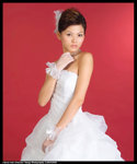 Cherry492V4222_20x24