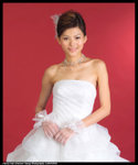 Cherry492V4265_20x24