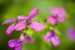 IMG_1901