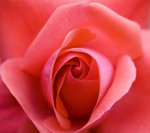 IMG_2023_2