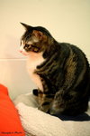IMG_1531ab