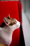 IMG_1537ab