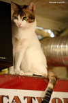 IMG_1543ab