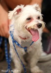 IMG_0467ab