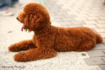 IMG_0469ab